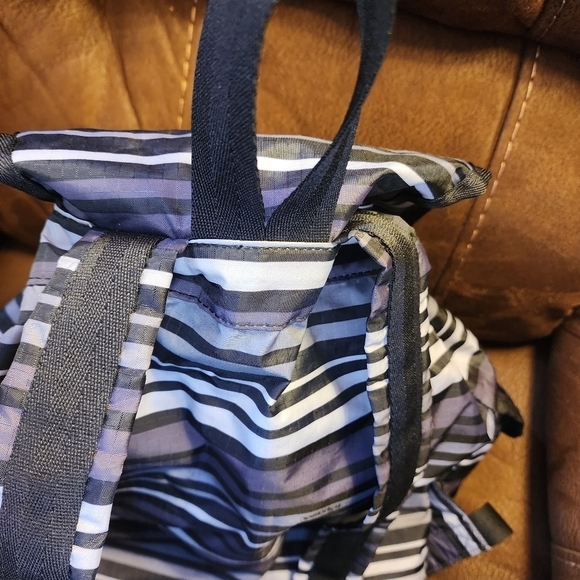 Large Wayfarer LeSportsac Backpack main image 4